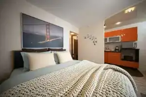 Апартаменты PtzHome Cтудия Орхидея, Петрозаводск