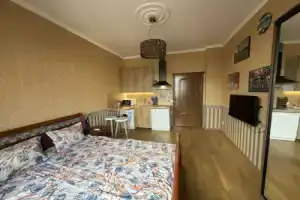 Квартира студия с красивым видом на Москву, Москва