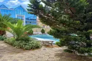 Квартира Солнечный Дом, Адлер