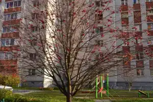 Хостел «Гагарин»