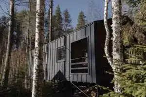 Частный дом Баpнxауc в Сосновом Бору