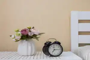 Апартаменты Для путешествий, Калининград