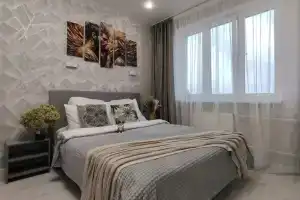 Квартира Серый кот, Курск