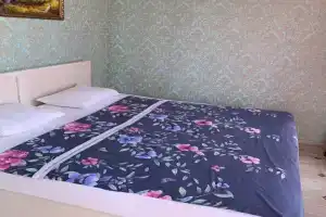 Апартаменты Снова Дома 2комн, Сочи