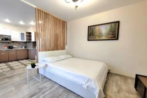 Апартаменты Sdaem116 рядом с Кремлем, Казань