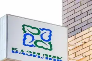 Отель «Базилик», Скопин