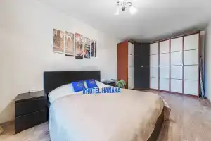 Апартаменты Hanaka Зеленый 83к3, Москва