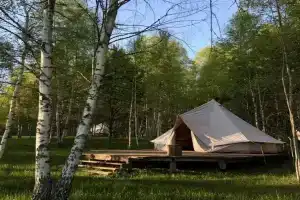 Глэмпинг «Звездный лес», Дорохи