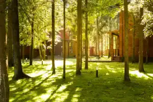 База отдыха Босиком, Ламишино