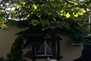 Гостевой дом у озера, Брест