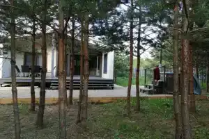 Частный дом СвояДача в сосновом лесу