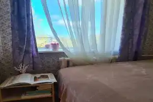 Апартаменты в центре Пушкиногорья
