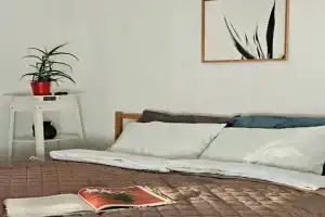 Квартира Ботаника, Уфа