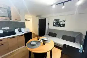 Apartment Уютная Студия в Зеленой Зоне