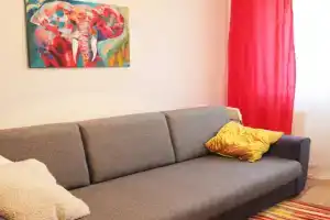 Апартаменты «Слон», Владимир