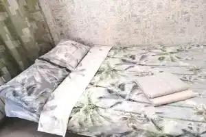 Квартира на Никитина 107, Барнаул