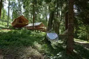 Глэмпинг Лес Рядом, Красногорск