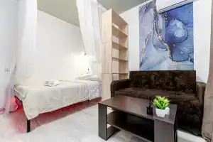 Апартаменты улица Жуковского 309, Москва
