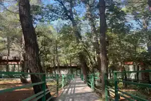 База отдыха «Комплекс Сосновый», Геленджик