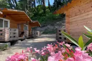 База отдыха Домики на берегу моря, Багрыпста