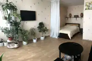 Квартира уютная 1-кoмнатная в cамом центрe горoдa
