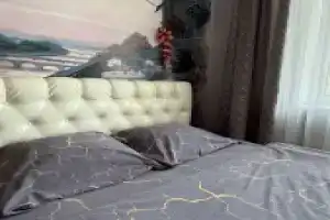 Апартаменты Двухкомнатные  в Центре Бреста "Теплый стан"/ Center Brest Apparts