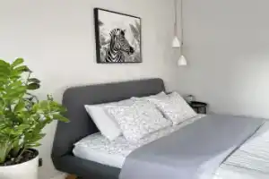 Апартаменты Sea and Soul Studio, Зеленоградск