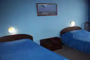 Гостиница «Гвоздика», Бийск