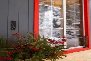 Дача с красными карпами в Наро-Фоминском районе