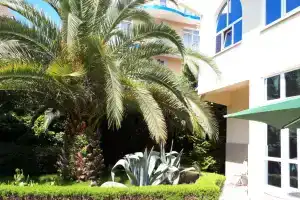 Гостиница «Maretel», Адлер