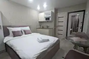 Апартаменты RentHome студия Роуз на Южном шоссе у ТЦ Амбар, Самара