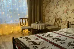 Квартира Уютная  Сталинка в центре города