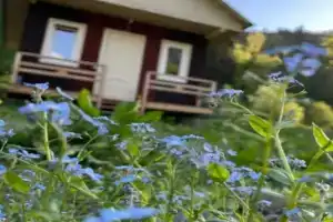 База отдыха «Адзгара», Домбай