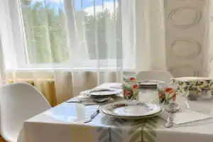 Апартаменты в центре Пушкиногорья
