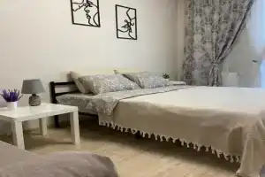 Квартира ЖК Озерки А. Чурсина 18, Воронеж