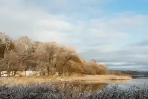 Шевлино - Гостиницы