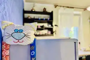 Квартира Мяу, Зеленоградск