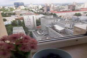 Апартаменты Видовые в Центре Воронежа Фиолет 20/20
