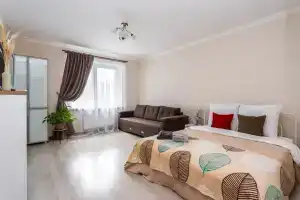 Квартира в Центральном районе