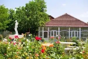База отдыха «Экопарк Великокняжеский Остров», Сталина