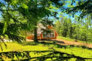 База отдыха «Любогорье» в Любытинском районе