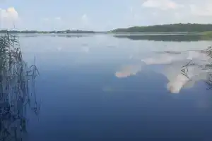 Агроусадьба «Сосны», Браслав
