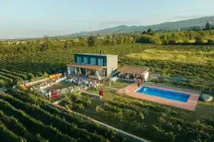 Отель Chateau Resse, Телави