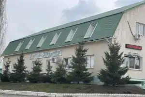 Гостиница у Палыча, Вольск