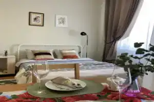 Квартира уютная и просторная студия в Петергофе