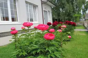 Усадьба у моря, Лесной