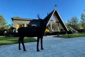 Дом «Шварцвальд A-frame с сауной», Никольское