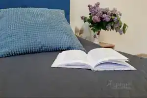 Апартаменты на Аллее рядом с Физтехом и Шереметьево, Долгопрудный
