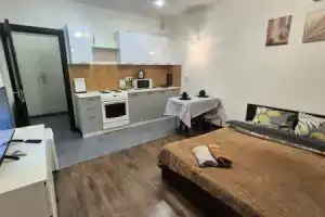 Квартира в Новом Пушкино