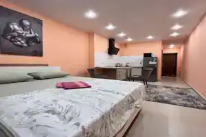 Квартира студия 30 м² 25/25 этаж, Саратов